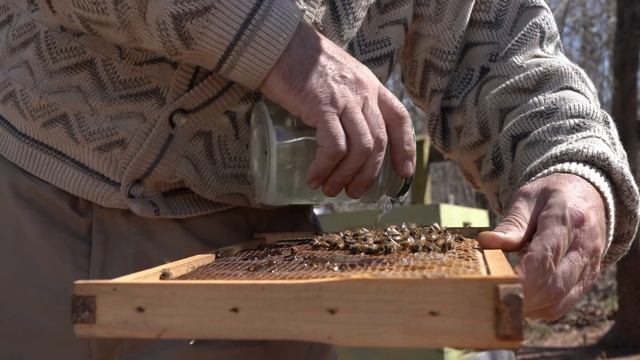 Пасека #111 Одно рамочные отводки \ Где матки? \ И есть ли трутни? \ Пчеловодство для начинающих смотреть онлайн