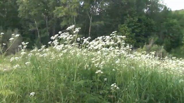 ЖИТЬ ЭТО ЗНАЧИТ ЛЮБИТЬ! смотреть онлайн