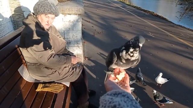 Я и моя подопечная кормим птиц... это невероятные эмоции!