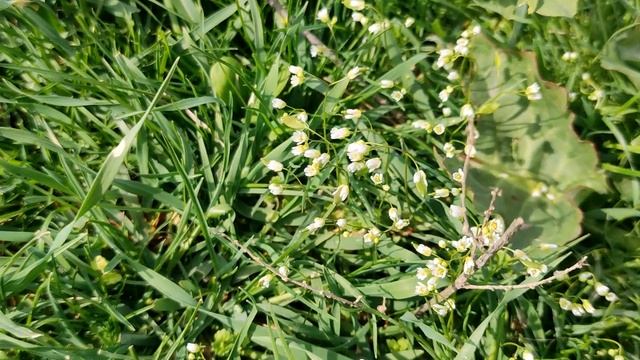 Критическая ситуация. Сводка на 24.03.2023. смотреть онлайн