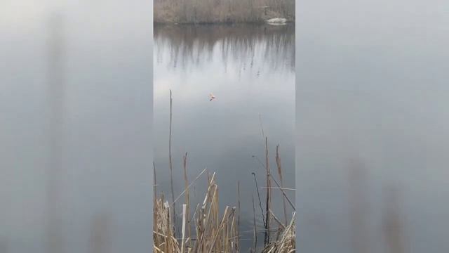 Рибалка ранньою весною на поплавочное удилище смотреть онлайн