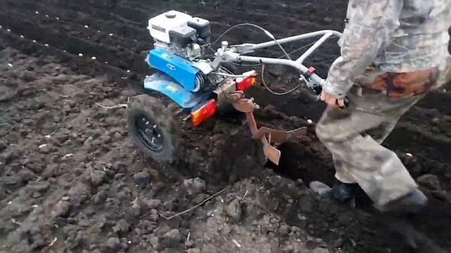 Посадка картофеля под окучник мотоблоком. смотреть онлайн