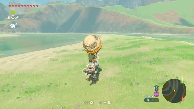 Into the Vortex - Secret Shrine Quest-(Legend of Zelda Breath of the Wild) смотреть онлайн