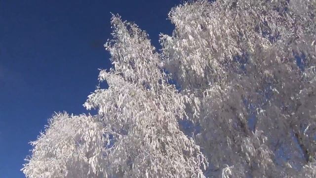 Иней на деревьях смотреть онлайн