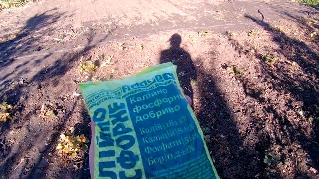 Готовим клубнику к зиме или Что нужно сделать чтобы урожай превзошел все ваши ожидания! смотреть онлайн