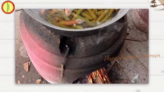 Ekspor Cabai Jawa Dari Indonesia / Java long pepper export from Indonesian смотреть онлайн
