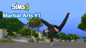 The Sims 4 Martial Arts Animations #1  - Download