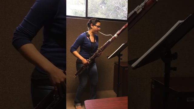 Vivaldi bassoon concerto A minor Rv. 498 смотреть онлайн