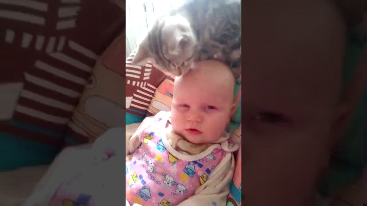 Delicious Baby and Kitten смотреть онлайн