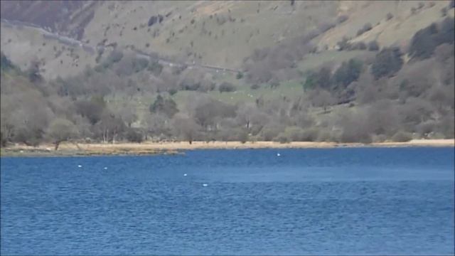 FUJIFILM FinePix S6800 zoom test смотреть онлайн