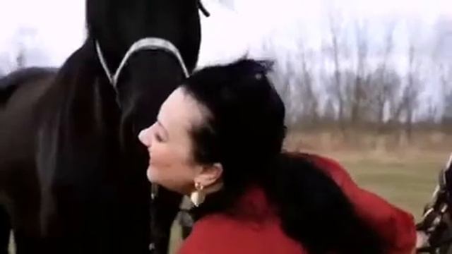 Музыка Сергея Чекалина «Кони» Лошади — это поэзия в движении?❤️??#музыкадлядуши #relaxmusic # смотреть онлайн