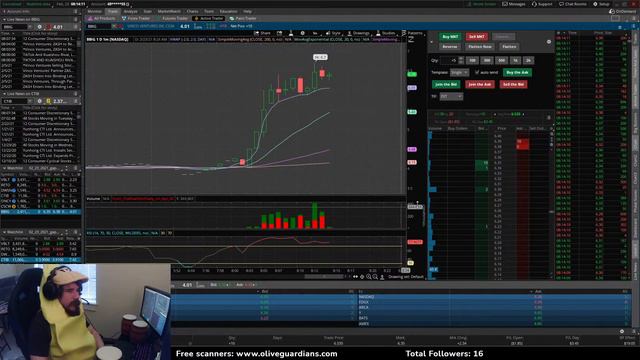 LIVE Bongo stock trading! Free scanners in description смотреть онлайн