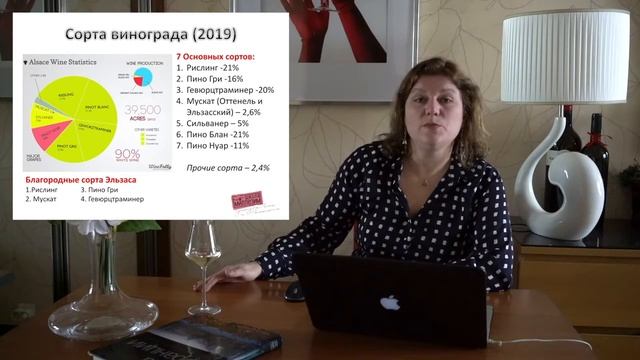 Лекция "Эльзас" для студентов профессионального курса сомелье смотреть онлайн