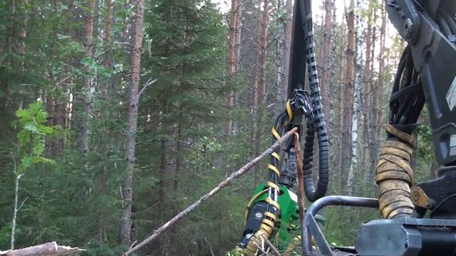 LAKO 52 Thinning смотреть онлайн