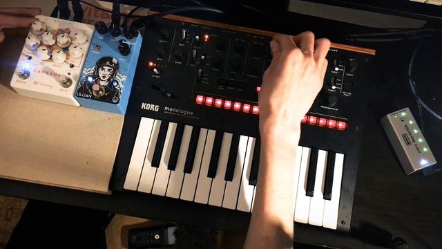 Korg Monologue - Drum Machine Sequence