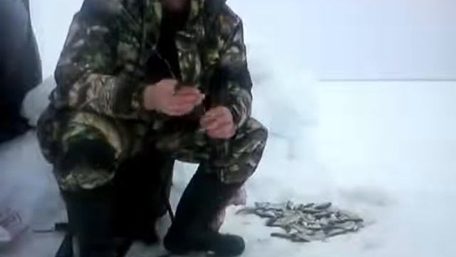 Зимняя рыбалка на судака смотреть онлайн