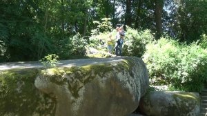 VLOG Прогулка по дендрологическому парку Софиевка едем на авто встретим страусов