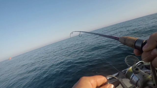 Рыболовное Спасение