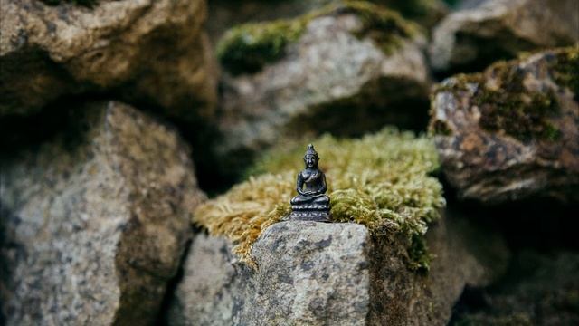 Как стать счастливым? Просто послушай: музыка для счастья и умиротворения. смотреть онлайн