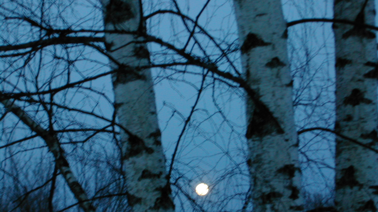 Иеромонах Роман. «Благорастворение возду́хов...» смотреть онлайн