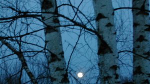 Иеромонах Роман. «Благорастворение возду́хов...»