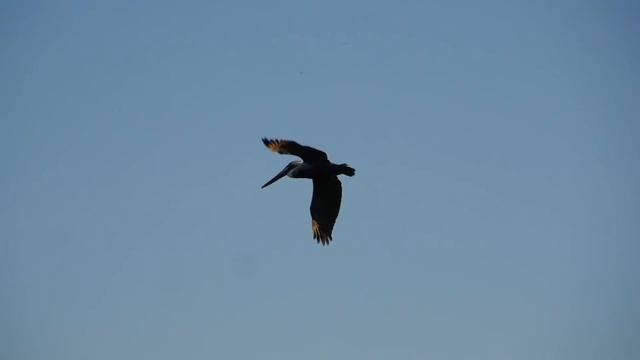 ГОНДУРАС, САЛЬВАДОР и НИКАРАГУА за 4 дня. 9-ая серия смотреть онлайн