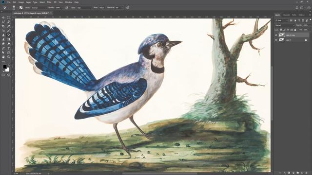 Art History Brush tool Lecture: 38 | Adobe photoshop beginners training | Best tutorial photoshop смотреть онлайн