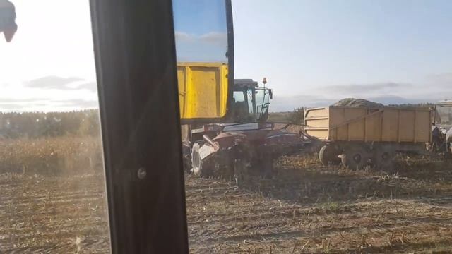 Убрали поле КУКУРУЗЫ. Раскатили МТЗ-80 РЕМОНТ КПП. Близимся к победе! смотреть онлайн