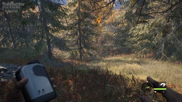 TheHunter_COTW_003_Вуалес#01