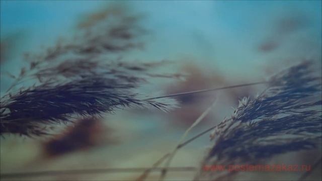 картина на стекле смотреть онлайн