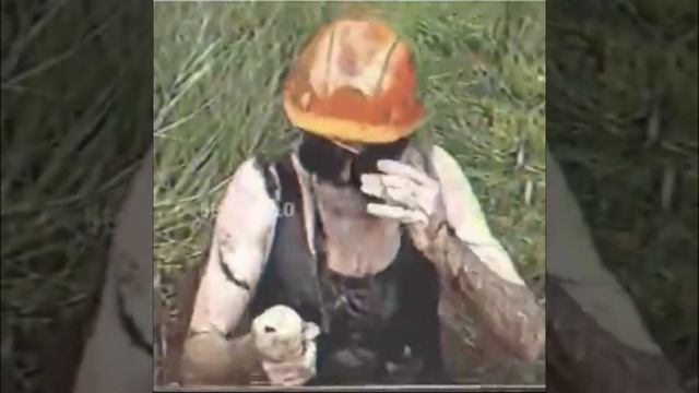 Как быстро найти грибы смотреть онлайн