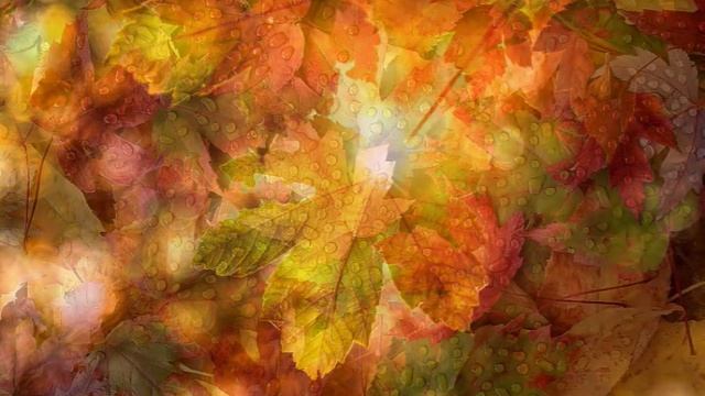 А.Монин, рок-группа "КРУИЗ". Концерт в ДК "АЗЛК", 2002г. смотреть онлайн