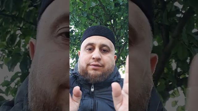 Ответы на вопросы смотреть онлайн