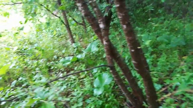 Нашёл этот бур ещё прошлой осенью а достал его только сейчас смотреть онлайн