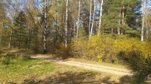 Сцепление веломотора f50