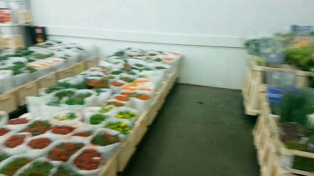 Свежая поставка в 7ЦВЕТОВ 28 марта: срезанные цветы смотреть онлайн