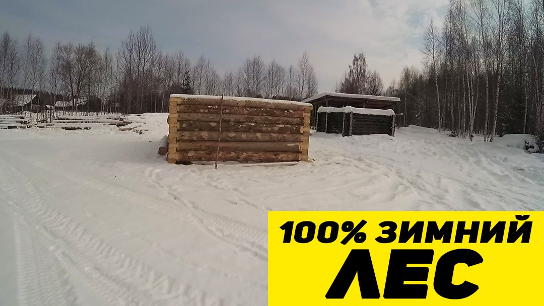 Готовь СаНи Летом а СРУБЫ Зимой # Заготовка замнего леса для Бань.MP4 смотреть онлайн