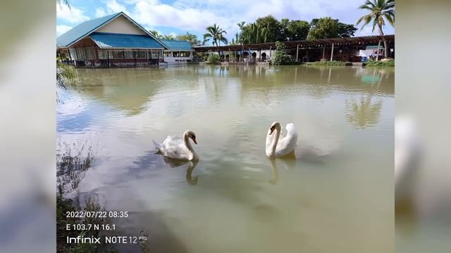 รีวิวตลาดแตก infinix Note 12 Pro 5G ดีที่สุดในเรทราคาเดียวกัน มาพร้อม CPU สุดแรง Dimensity 810 смотреть онлайн