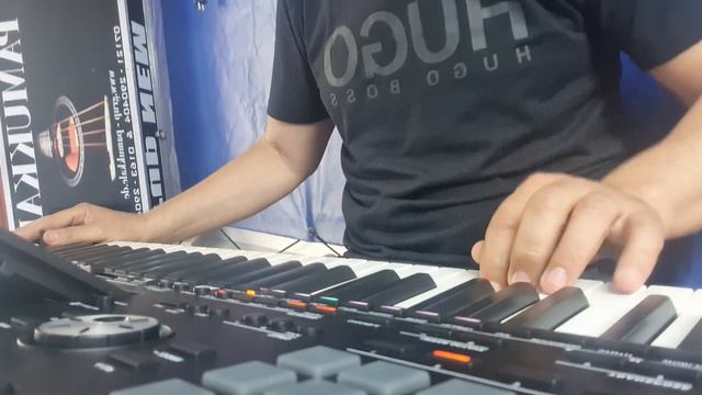 Korg Pa5x Türk Ud Oud смотреть онлайн