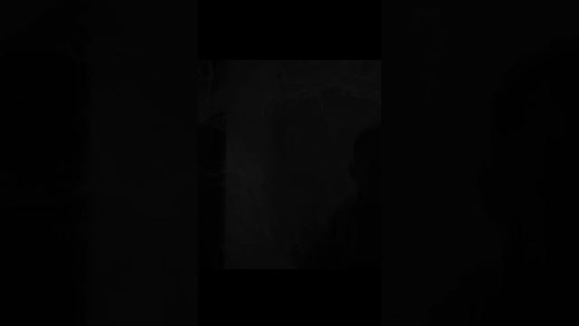 Арахнофобы привет! смотреть онлайн