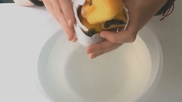 Growing Dinosaur Egg in Water. Растущее яйцо динозавра в воде.