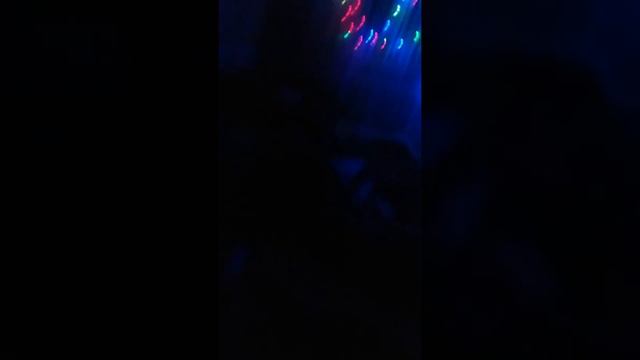 Хочу увидеть деда мороза