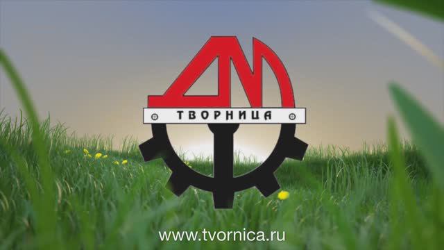 Результат использования препаратов компании Творница для капусты во время жары и суховеев