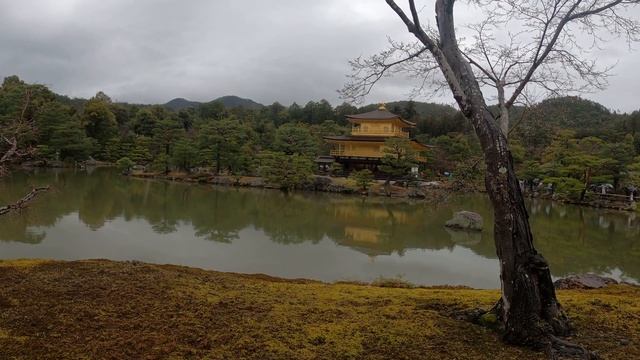 Кинкаку дзи, 金閣寺, Золотой павильон, Киото, Япония, 2023г Часть 1 смотреть онлайн