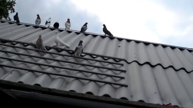 Второй день, при сильном ветре 03.05.19г. смотреть онлайн
