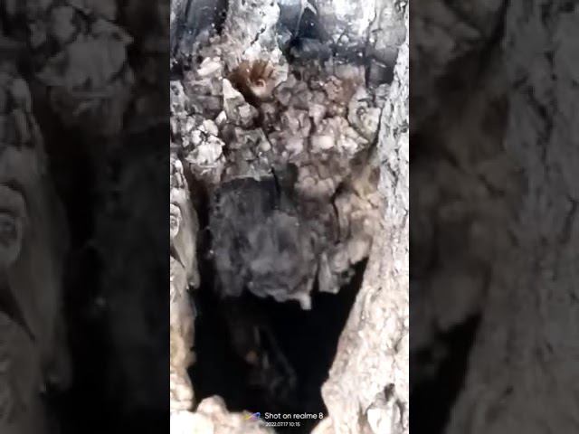 17 июля 2022 г. смотреть онлайн