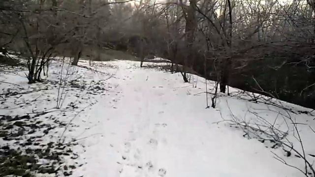 Карагачевая роща Бишкек Кыргызстан смотреть онлайн