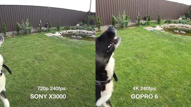 GoPro 6 VS Sony X3000. Часть 2. Какую камеру выбрать для снятия влогов? смотреть онлайн