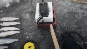 Двухлучевой эхолот JJ-Connect Fisherman 220 Duo Ice Edition Mark II