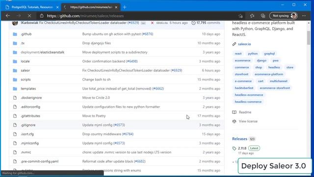 Install Saleor 3.0 on Windows 10 смотреть онлайн